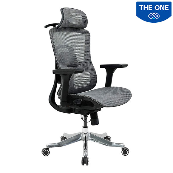 Ghế Công Thái Học The One GLE20